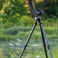 How to Master the Basics of Tripod Photography